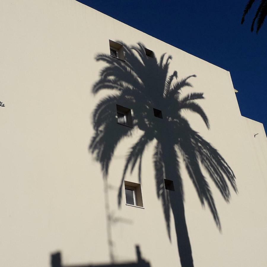 Les Pins . 2 P Calme Et Terrasse Apartman Nizza Kültér fotó